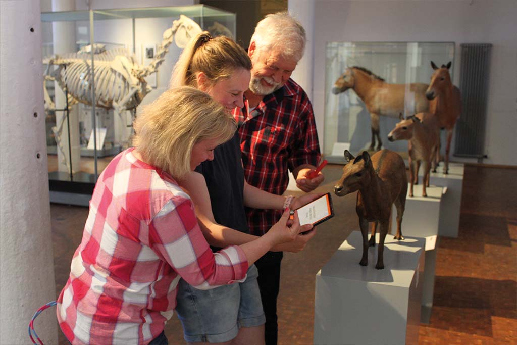 Museum mit der Familie neu erleben